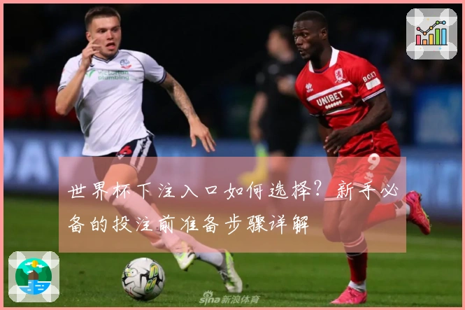 世界杯下注入口如何选择？新手必备的投注前准备步骤详解