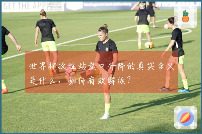 世界杯投注站盘口升降的真实含义是什么，如何有效解读？