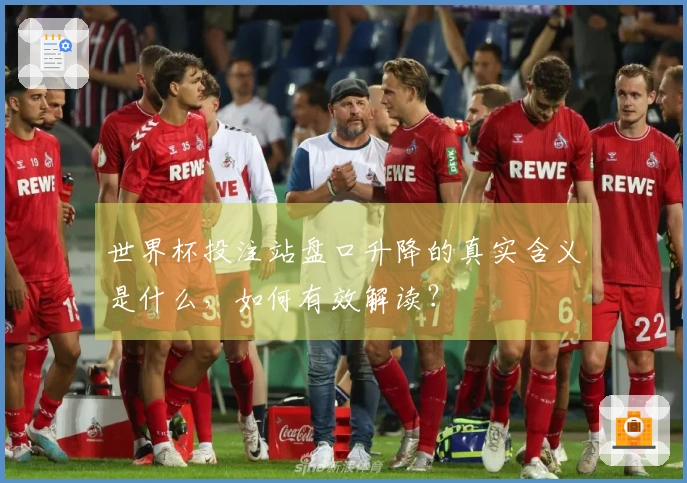 世界杯投注站盘口升降的真实含义是什么，如何有效解读？
